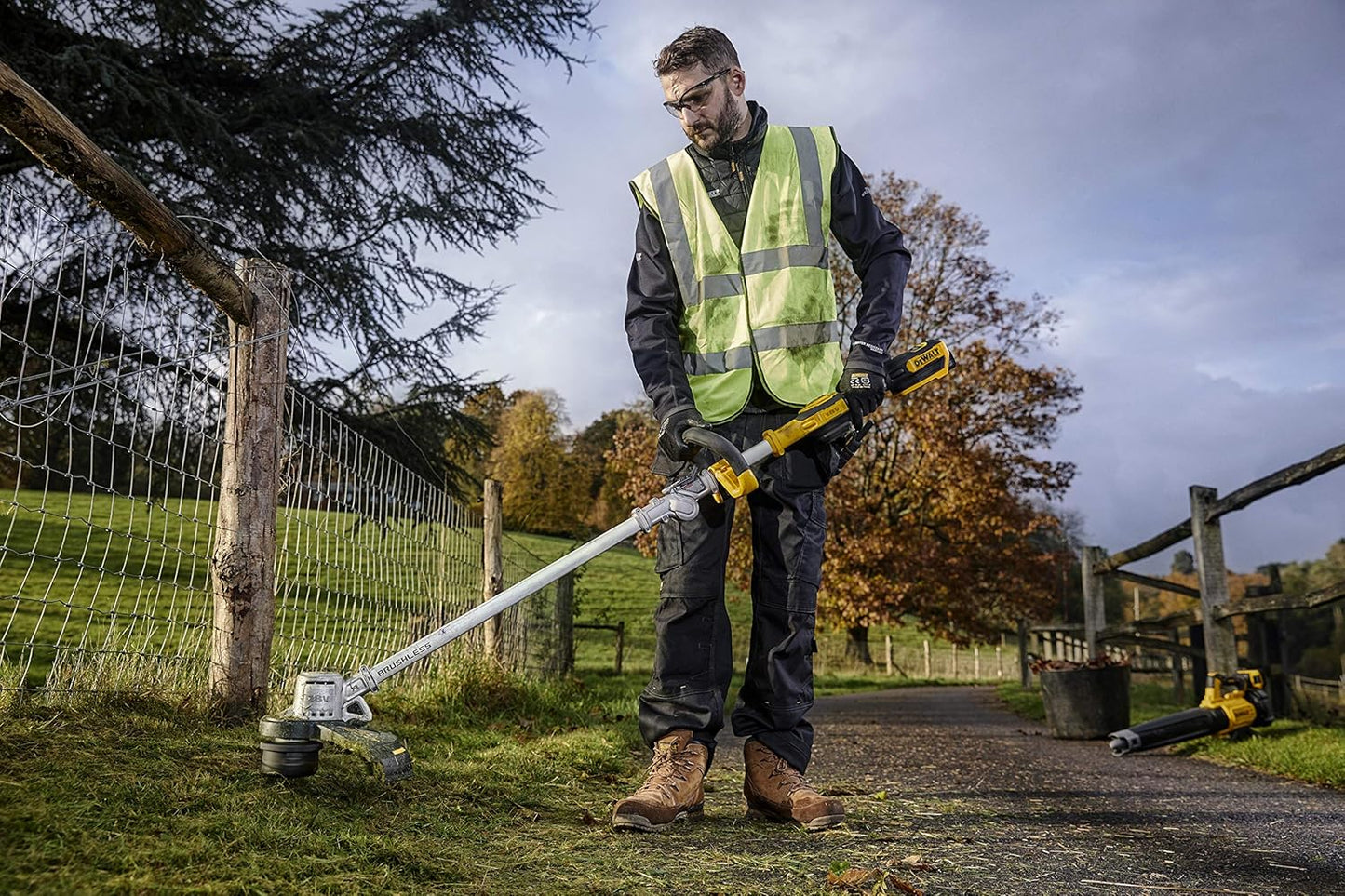 Desbrozadora de Borde XR 18V DCMST561P1-QW